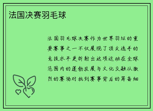 法国决赛羽毛球