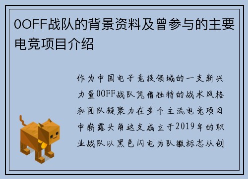 0OFF战队的背景资料及曾参与的主要电竞项目介绍