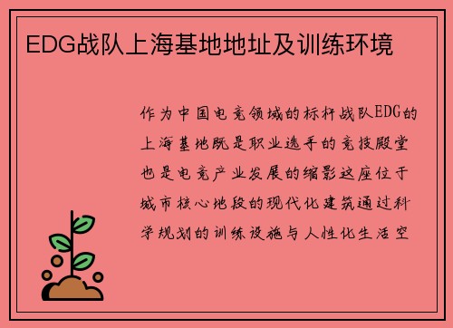 EDG战队上海基地地址及训练环境